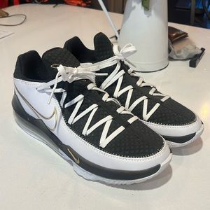 Lebron Low Basketball Shoes